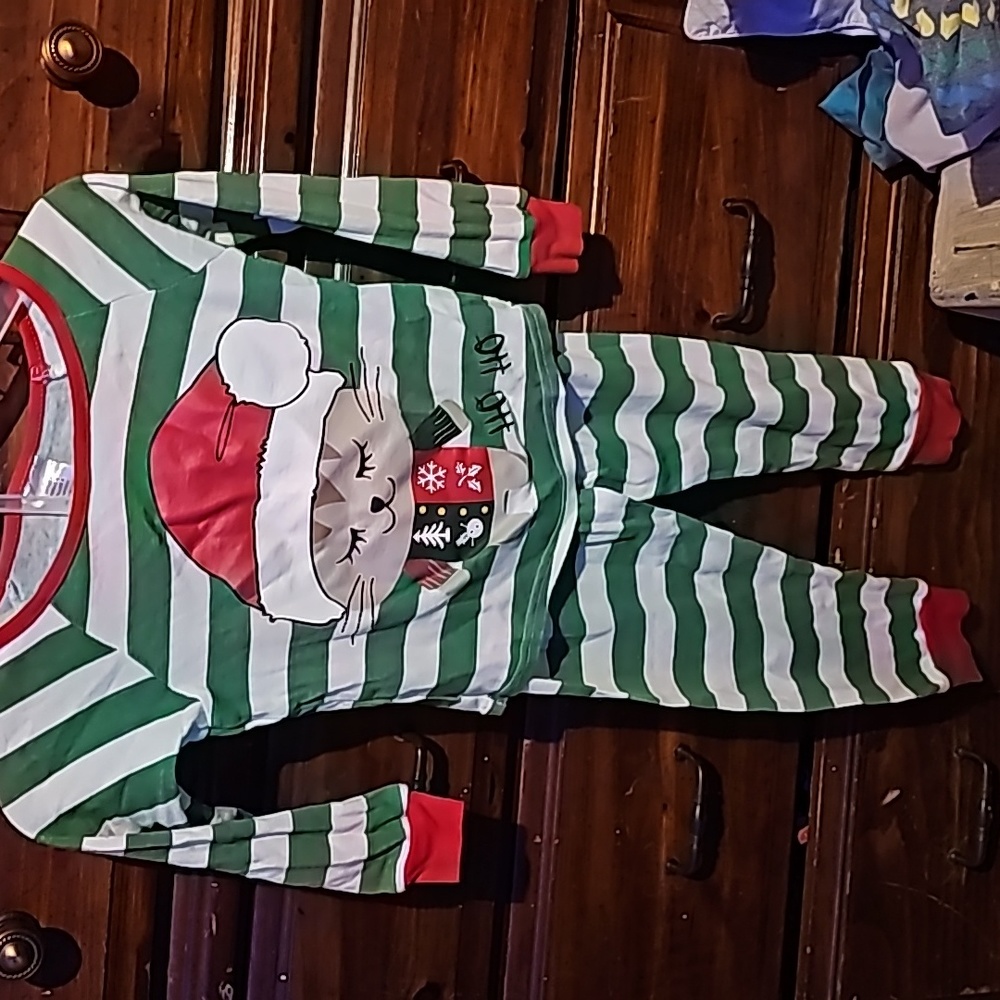 !!.                 Girls size 4   2 piece pajama set